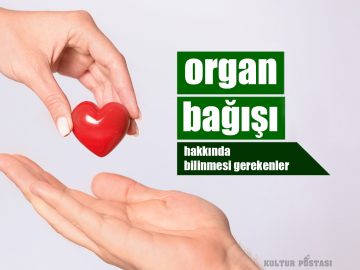 organ-bagisi-hakkinda-bilinmesi-gerekenler - Kültür Postasi