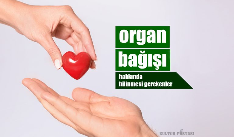 Organ bağışı hakkında bilinmesi gerekenler