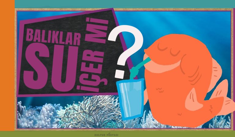 Balıklar su içer mi?
