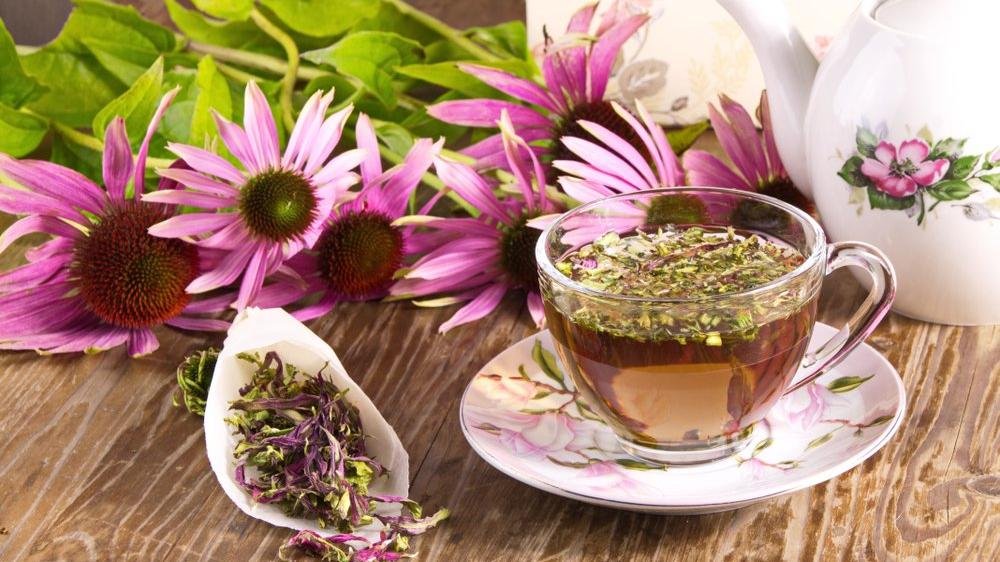 Ekinezya Çayı