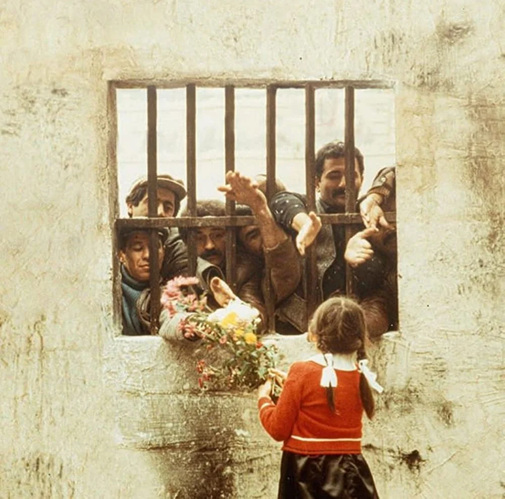 Duvar (1983)