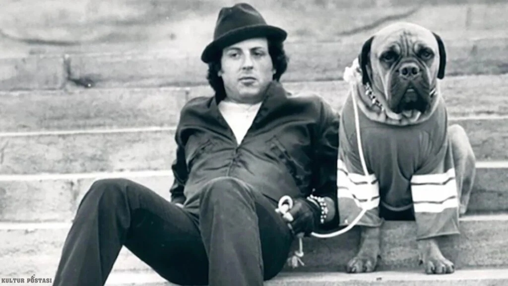 Rocky ve köpeği
