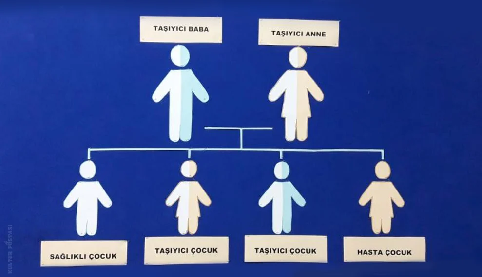 SMA gerçeğine gözlerinizi açın…